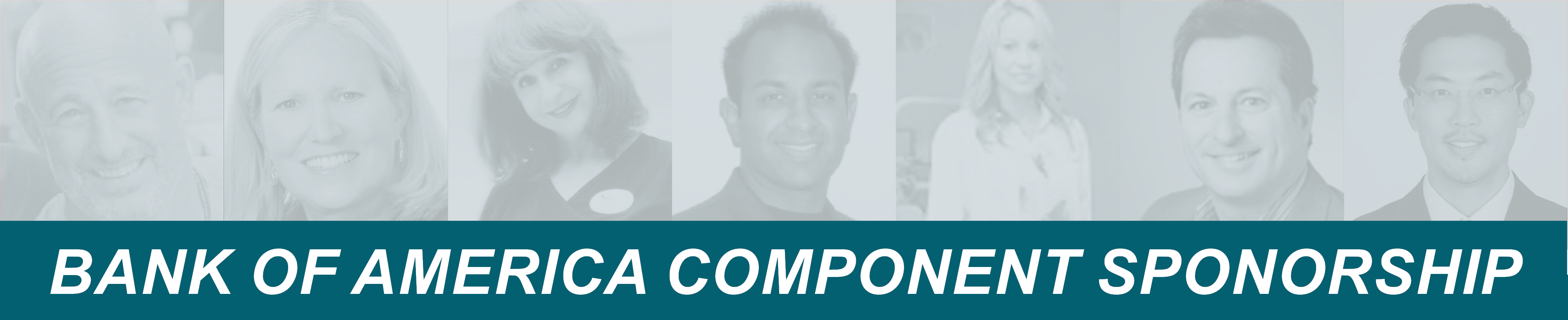 Bank of America Component Sponsorship