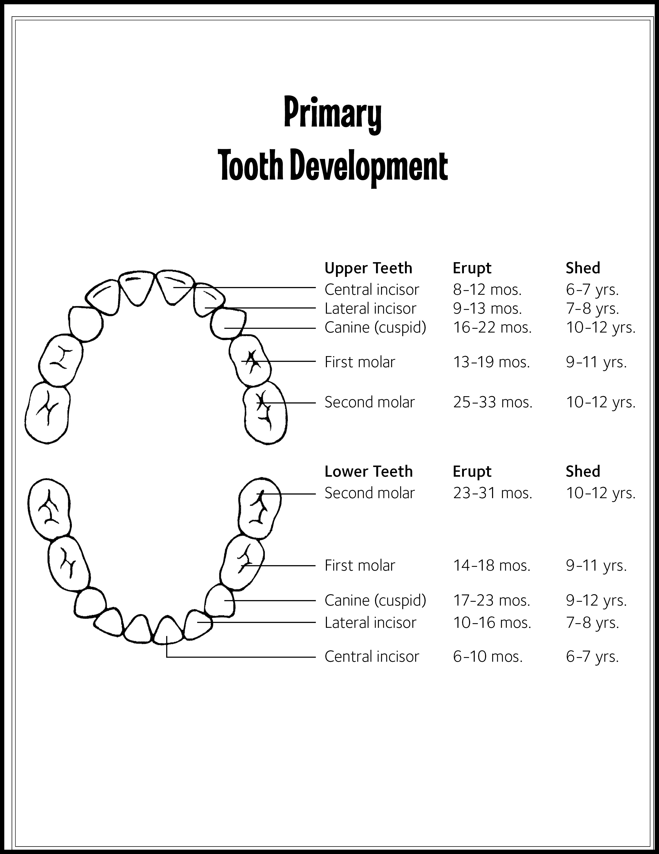 Eruption Charts