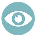 eye icon